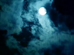 Moon Birds. Stock Footage