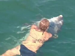 pretty girl playing with a great dolphin Stock Footage