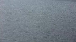 Calm lake Stock Footage