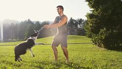 SLO MO Young man playing with his dog Stock Footage