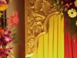 Portrait of a Indian bride talking on a mobile phone  Stock Footage