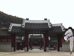 WS Korean guy performing taekwondo demonstraion  / Kyungkido, Bucheon, South Korea Stock Footage