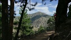 HD video Man trail runs Mount Falcon Morrison Colorado mountains Stock Footage