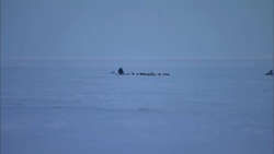 Dogs pull a sled over the vast Alaskan tundra. Stock Footage
