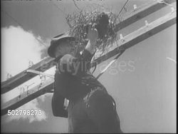 Raven Nests Cause Phone Line Disruptions News Clip