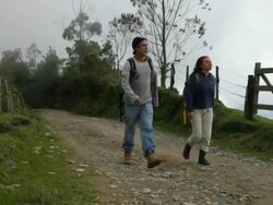 MS PAN Couple hiking on Andes mountains / Salento, Quindio, Colombia   Stock Footage