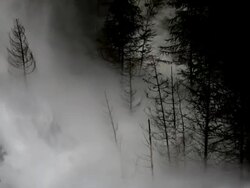 HD Flood Waves Destroying Forest Stock Footage