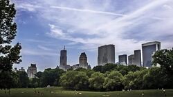 Central Park, New York Stock Footage