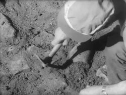 King Gustav visits archaeological dig in Italy Stock Footage