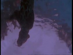 CU Underwater view of Jaguar swimming, South America Stock Footage