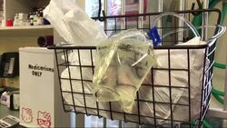 Hero dog saves US girl from rattlesnake News Clip