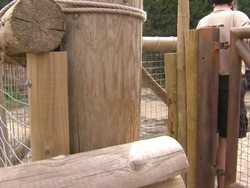 Zufari at Chessington World Of Adventures News Clip