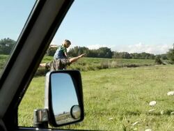 Father carrying son on shoulders in a field, viewed from inside a car Stock Footage