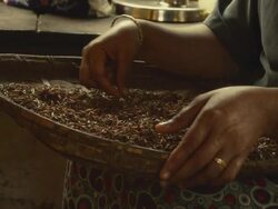 Ayurveda Stock Footage