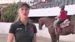 Equine therapy group teach horse skills News Clip