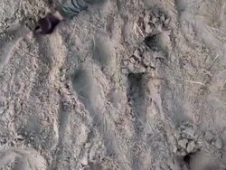 crowling soldiers hd720 two shots Stock Footage