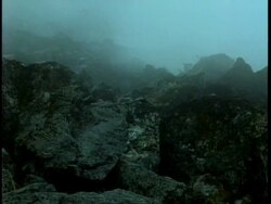 WA fog hovering over lichen covered rocks, Uganda, Africa Stock Footage