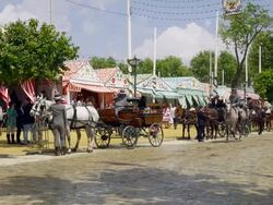MS CU During annual festival procession of horse drawning  carriages /Seville, Andalusia, Spain Stock Footage