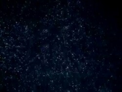 Snowy Blizard HD Stock Footage