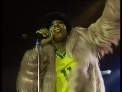 Macy Gray and Fat Boy Slim at Brazilian festival News Clip