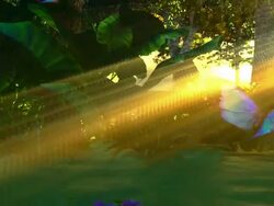 Small pond in mystical forest Stock Footage