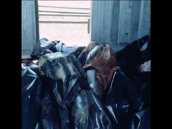 SYND 19 2 81 RELATIVES ARRIVE TO IDENTIFY BODIES Instructional Video