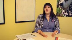 Dog owners use DNA tests to discover their pet's pedigree News Clip