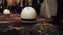 Roaming robot projects TV anywhere News Clip