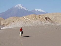 MS Static Man on horseback rides away / Angostura, Chile Stock Footage