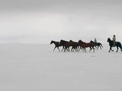 Horses running with cowboys riding across salt flats. Stock Footage