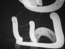 Old movie intro Stock Footage