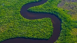 Aerial view of Everglades National Park Stock Footage