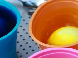 Orange and Blue Stock Footage