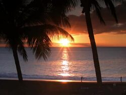 Paradise Stock Footage