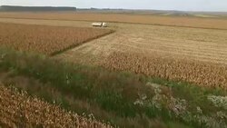 Harvester Work on Cornfield Stock Footage