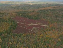 WS AERIAL View of wooded area with Penobscot Narrows at Searsport / Maine, United States Stock Footage
