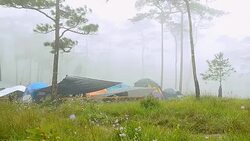 panning : camping in the mist in rainy season at Phu Soi Dao National Park Stock Footage