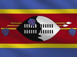 Swaziland Flag Stock Footage
