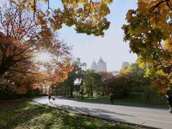 WS People enjoying sports, cycling, jogging and rollerblading at central park / New York, United States Stock Footage