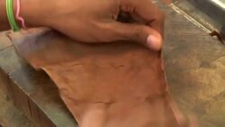 Cigar rollers assemble cigars at the Partagas cigar factory in Cuba. Stock Footage