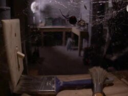 Close Up - Spider in web is startled when man flips light switch on / Stock Footage