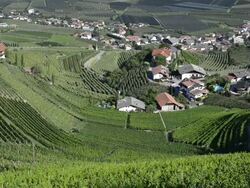 WS View in valley of vineyards near Lebenberg / Merano, Trentino, South Tyrol, Italy Stock Footage