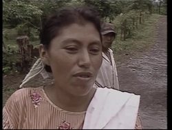 Hunger and poverty increase as coffee prices drop News Clip