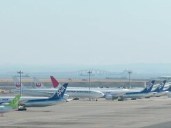 Grounded Boeing 787 Aircraft At Haneda Airport Stock Footage