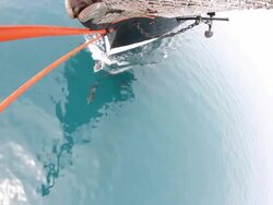 Dolphins and bow Stock Footage