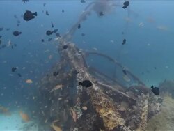 MS TU TD Reef on ship wreck  / Visayan Islands, The Visayans, Philippines   Stock Footage
