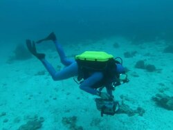 Rebreather diver holding camera, Costa Rica, Pacific Ocean  Stock Footage