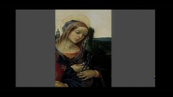 Virginia Postrel: On glamour Instructional Video