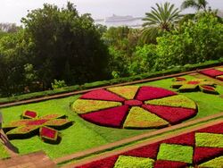 Botanical Gardens Stock Footage