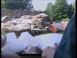 Dead fish removed from lake, polar bears suffer in heat Instructional Video